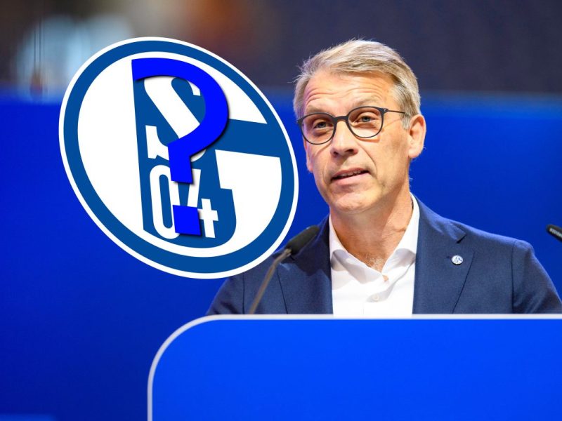 Peter Knäbel meldet sich beim FC Schalke 04 zu Wort.