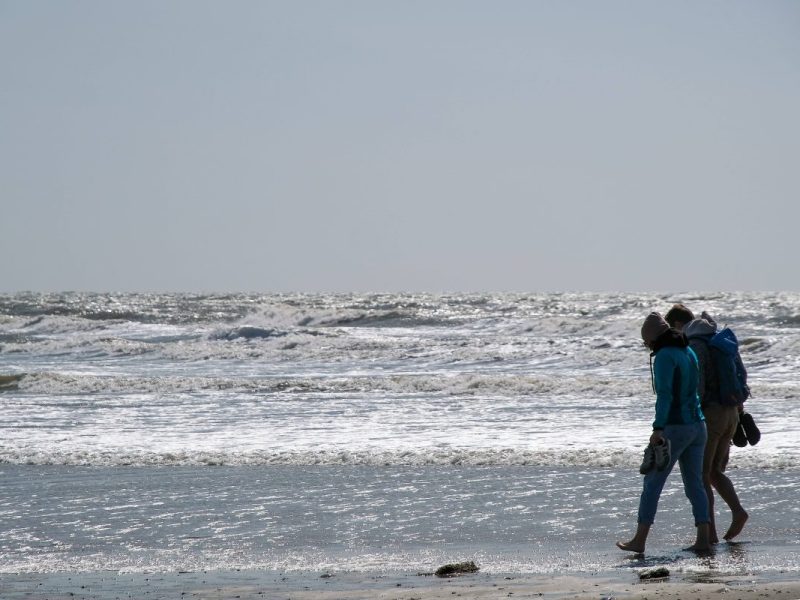 Beim Urlaub an der Nordsee machte eine Frau einen Grusel-Fund.