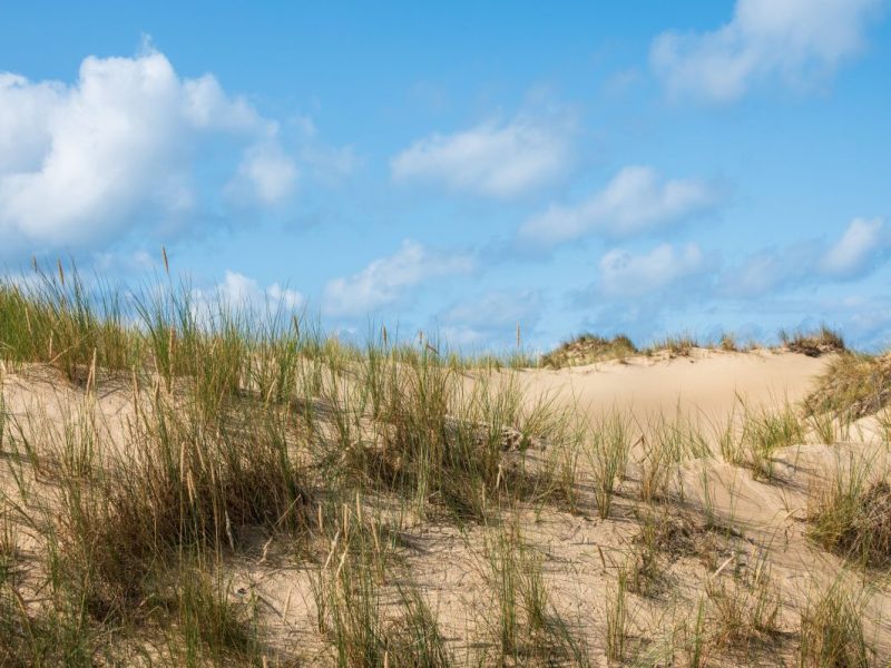 Urlaub an der Nordsee: darauf müssen Besucher achten