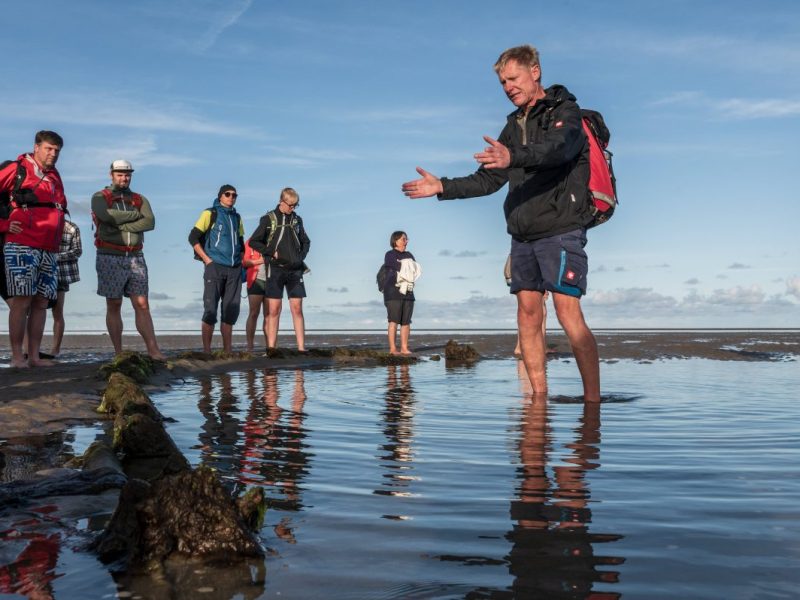 Touristen finden bei ihrem Urlaub an der Nordsee immer wieder tote Seehunde. Eine Expertin erklärt, woran das liegt.
