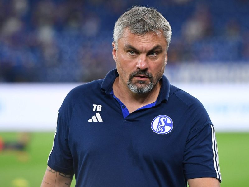 Wehen Wiesbaden Schalke