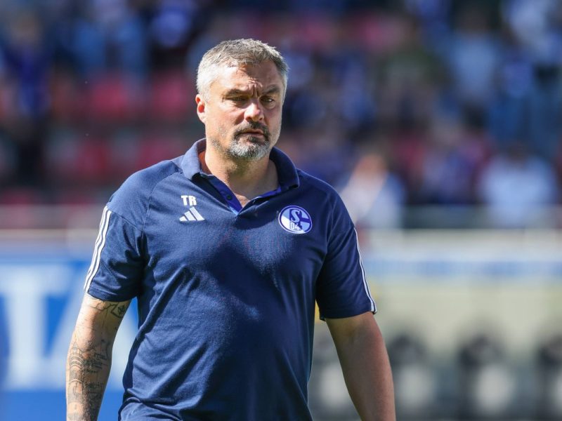 Wie geht es für Thomas reis beim FC Schalke 04 weiter?