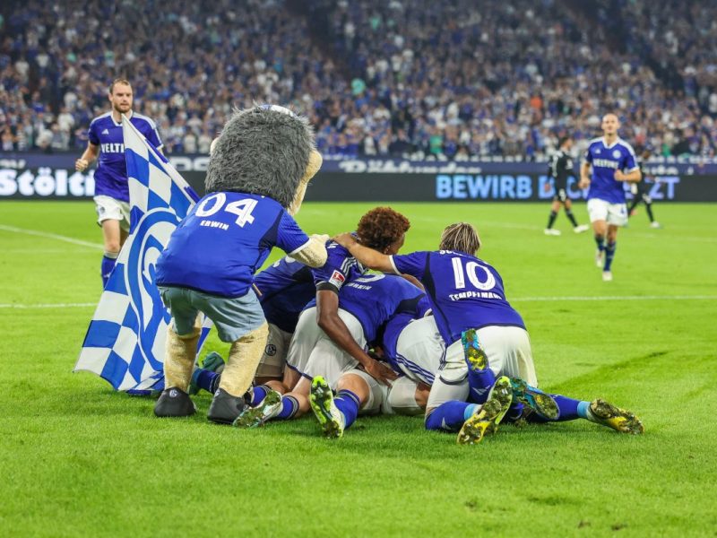 Schalke - Magdeburg