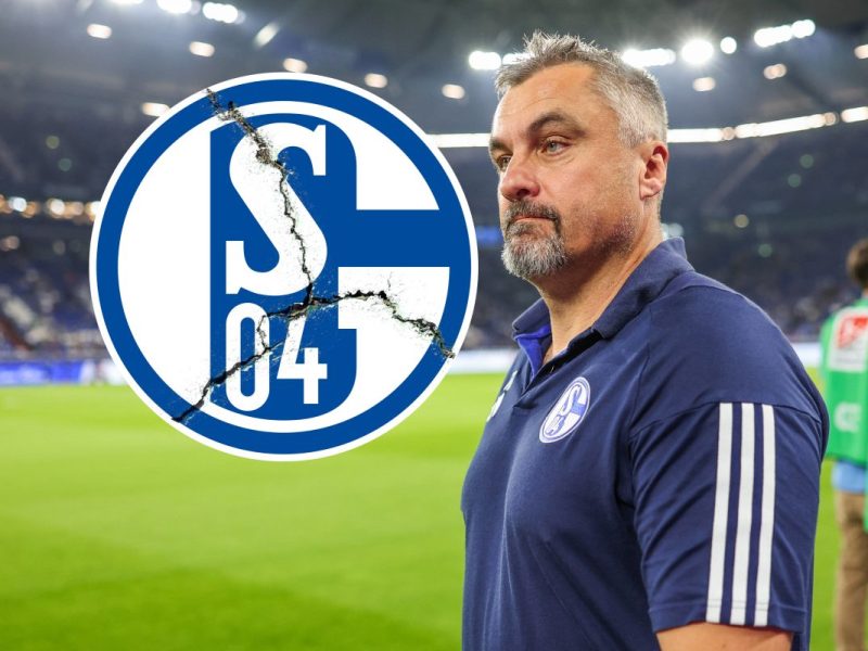 Thomas Reis muss beim FC Schalke 04 gehen.