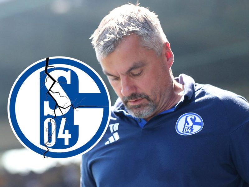 Das Aus von Thomas Reis hat beim FC Schalke 04 große Auswirkungen.