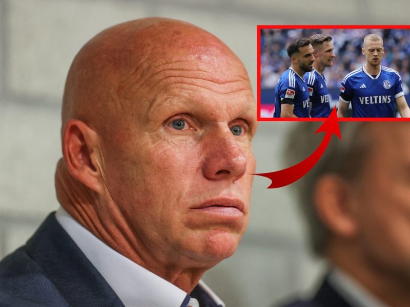 S04-Idol Didi Schacht