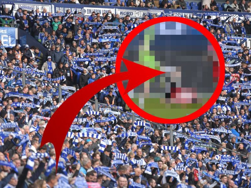 FC Schalke 04 Faehrmann