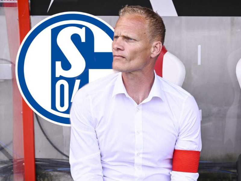 FC Schalke 04 Geraerts neu