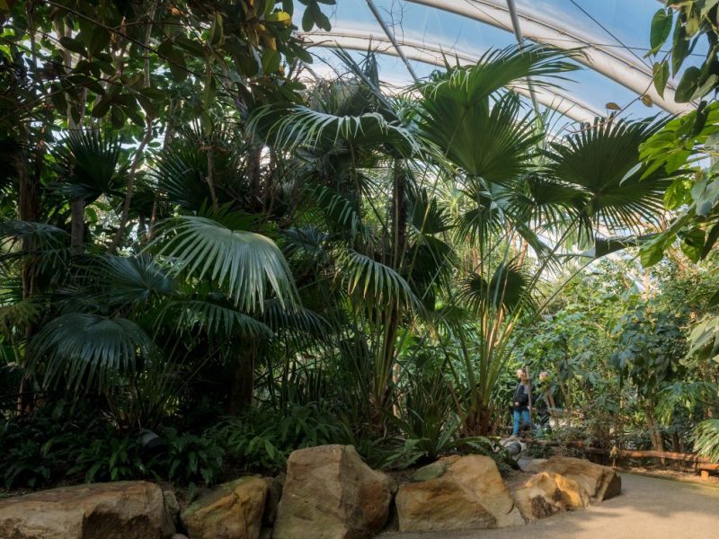 Zoom Gelsenkirchen: neues Tier zieht ein