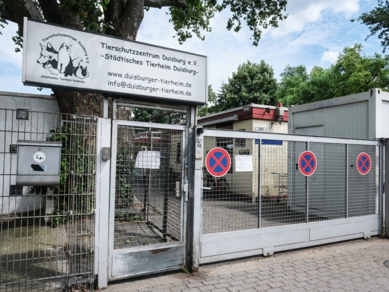 Tierheim Duisburg