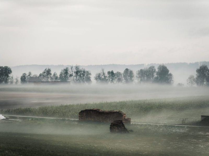Wetter in NRW: Meteorologin sagt wegen Polarvorstoß winterliche Zeit voraus.