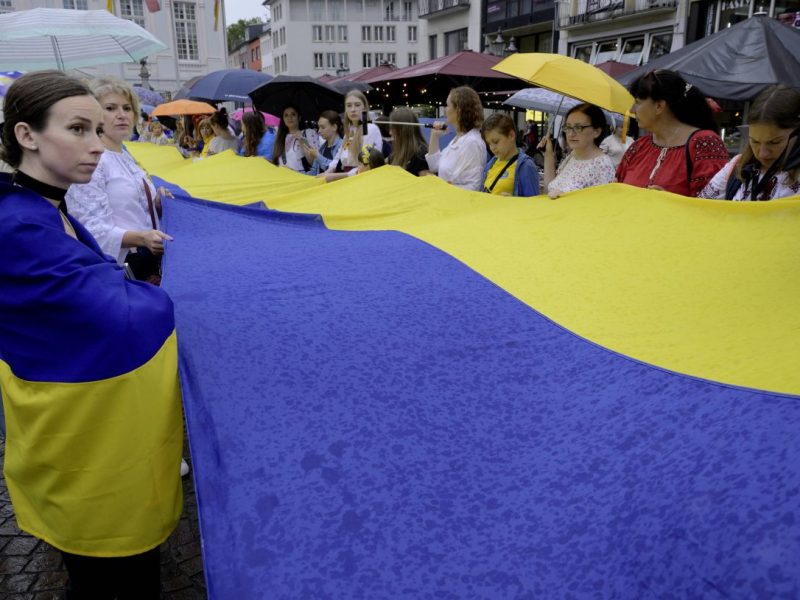 Im europäischen Vergleich hinkt Deutschland hinterher. Hierzulande arbeiten weniger ukrainische Geflüchtete als in anderen EU-Staaten. Warum ist das so?