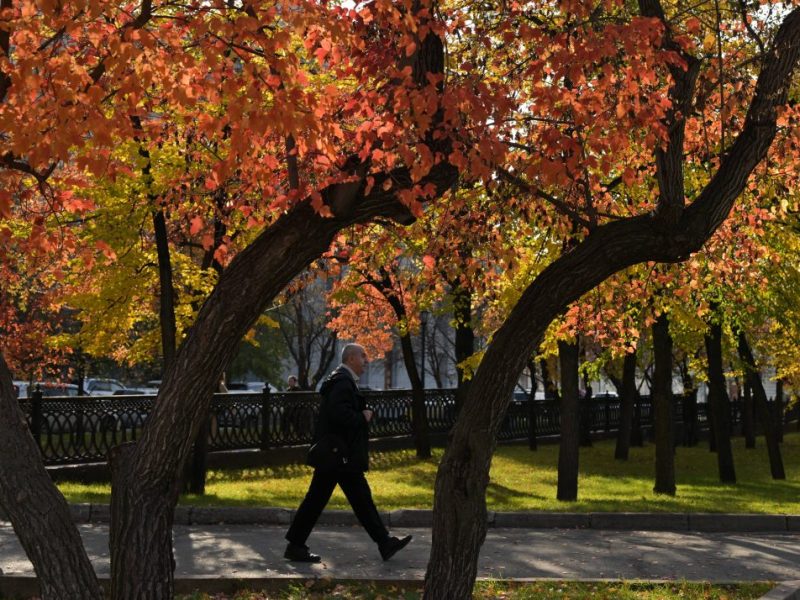 Wetter in NRW: kommt bald der Wintereinbruch