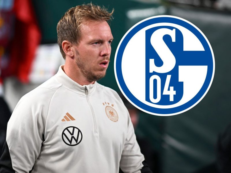 Julian Nagelsmann könnte dem FC Schalke 04 helfen.