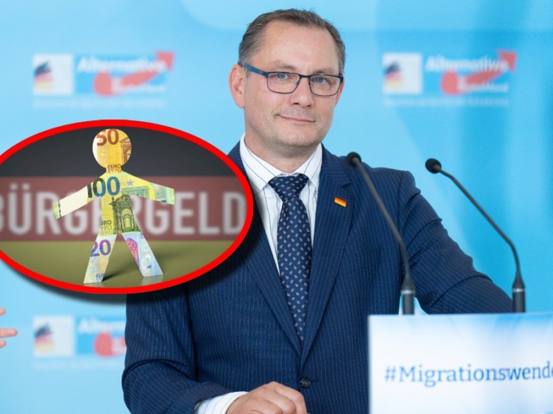 Bürgergeld AfD Ukraine