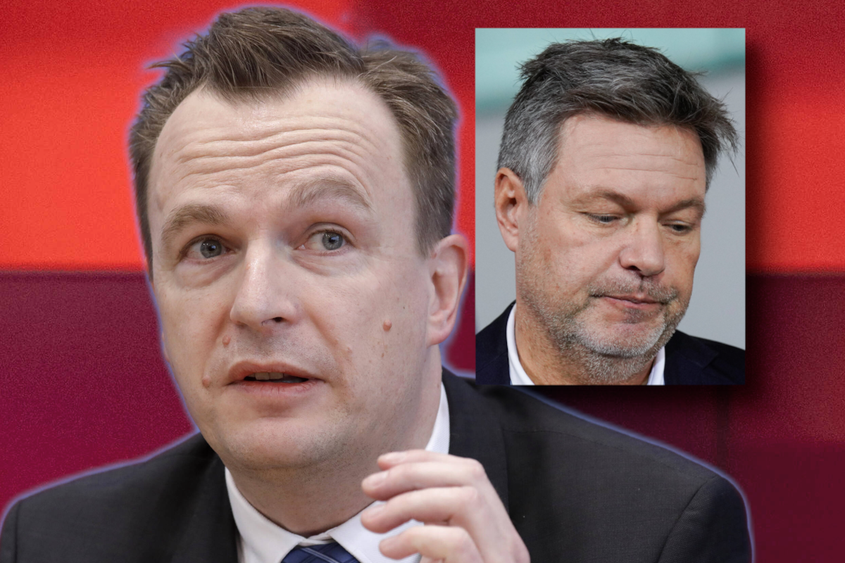 Ein Habeck-Berater bei