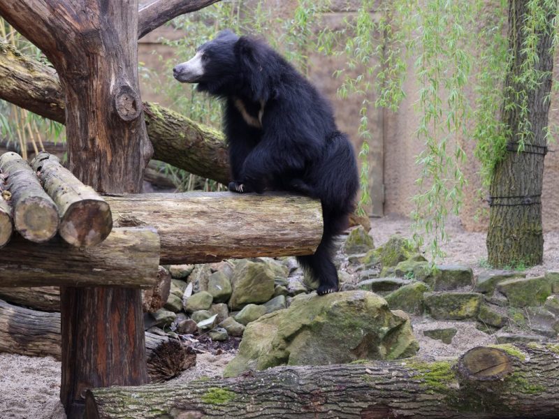 Zoo in NRW: Allwetter Zoo lockt mit Rabatten