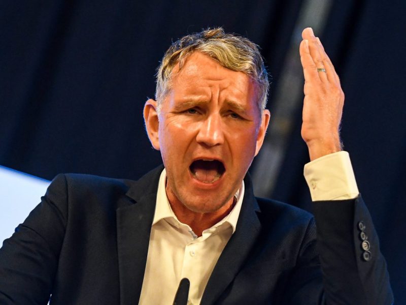 Höcke schwafelt indirekt über Bürgerkrieg in Deutschland.