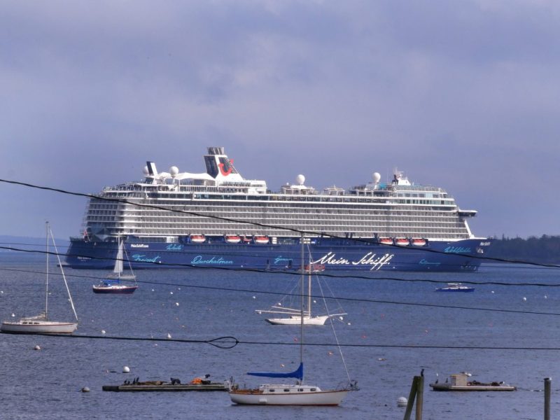 Kreuzfahrt: Gäste sind sich uneinig darüber, welche Kabine die Beste ist.