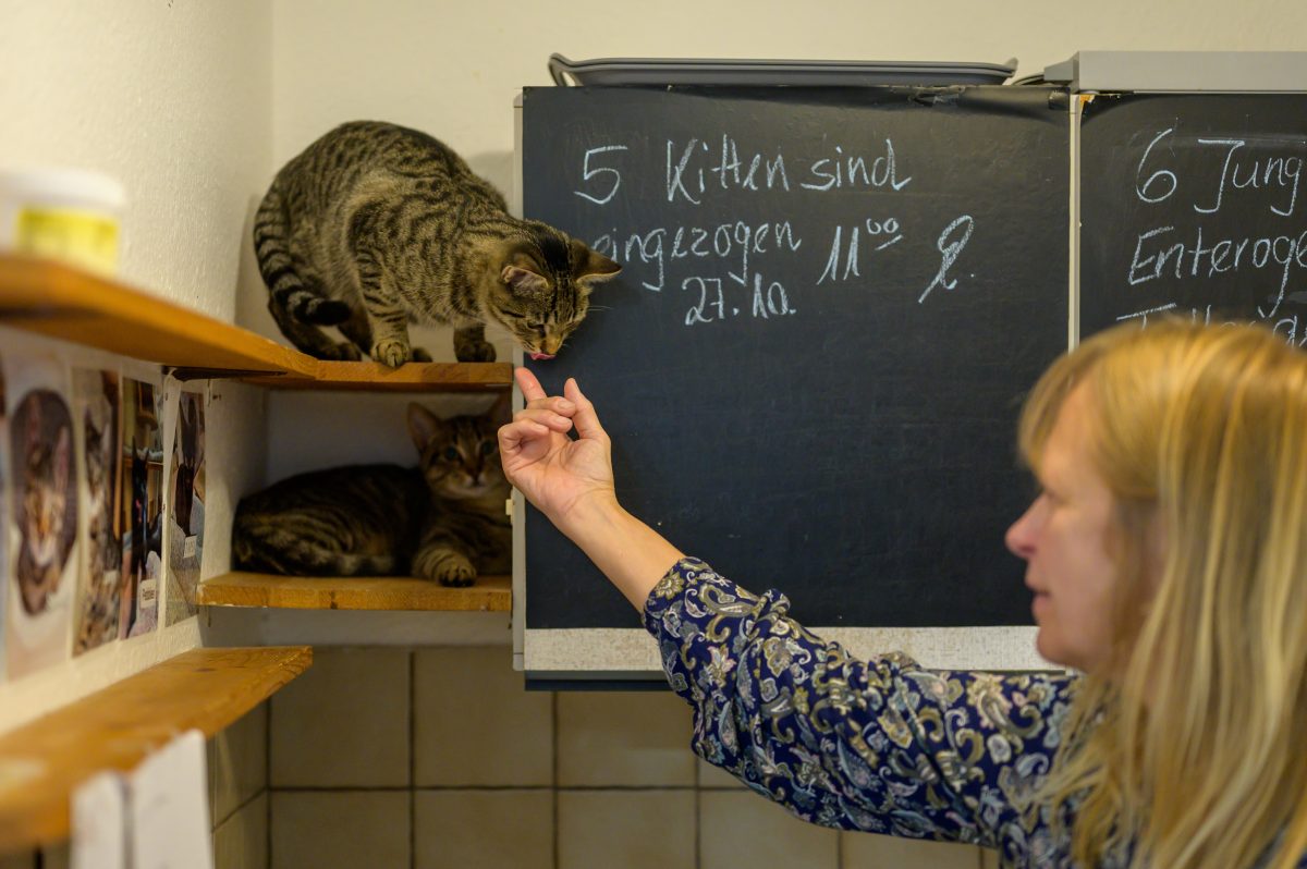 Bochum: Tierheim aus NRW