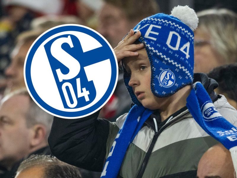 Die Fans des FC Schalke 04 müssen ordentlich leiden.