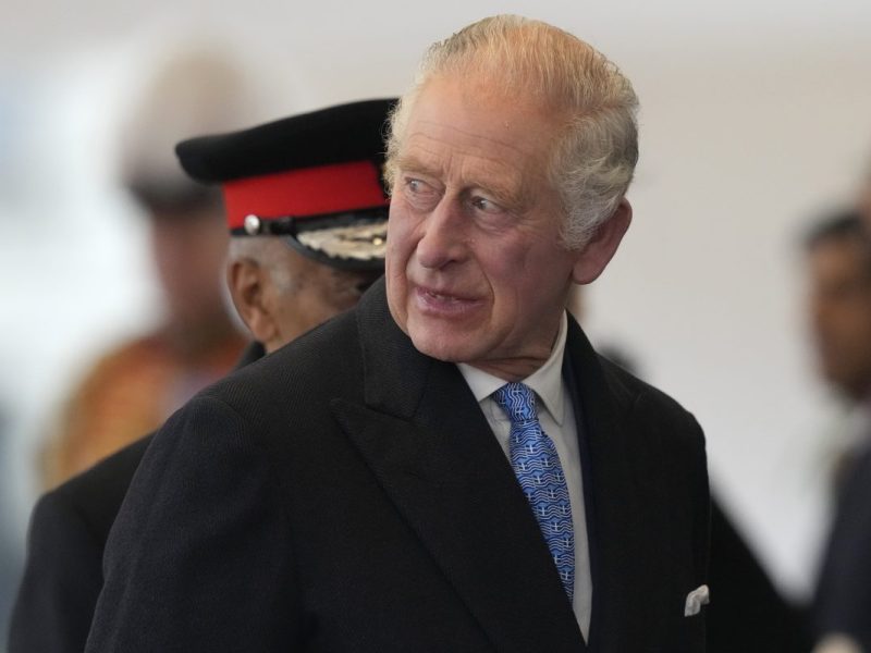 König Charles III. ist bei einem neuen Projekt nur Zuschauer.