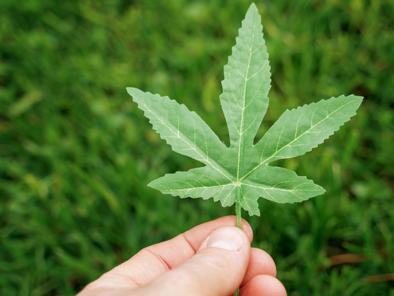 Cannabis-Befürworter vor SPD-Parteitag.