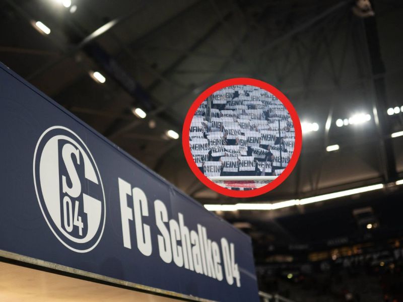 FC Schalke 04 DFL Investor