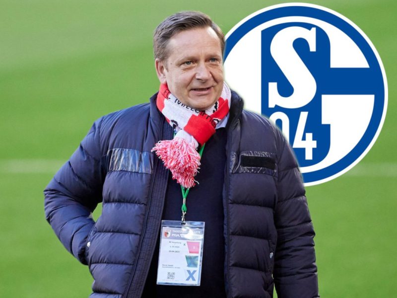 FC schalke 04 Heldt
