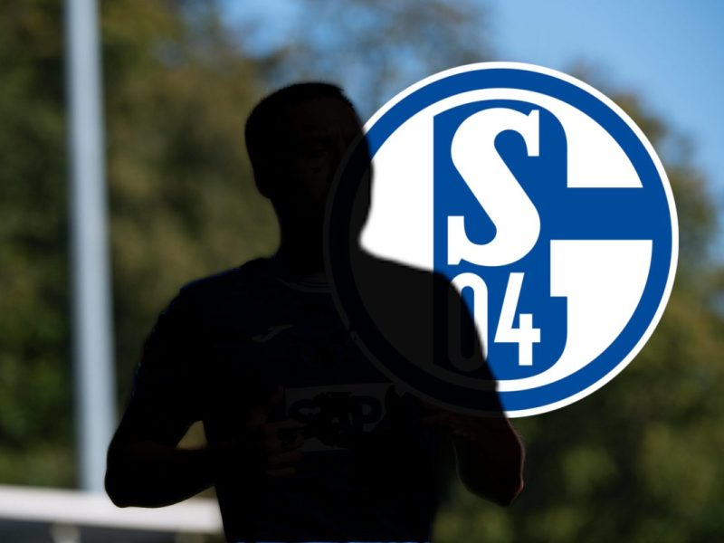 FC Schalke 04 Justvan