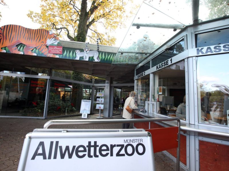 Der Allwetterzoo Münster in NRW musste 2023 Abschied nehmen. (Archivfoto)