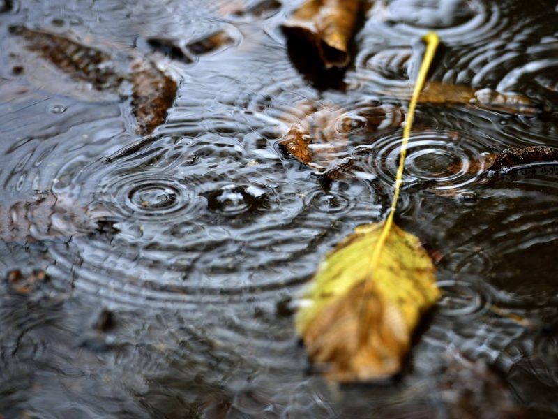 Das Wetter in NRW hält uns alle ziemlich in Trab. Nun ist klar, ob es an Weihnachten weiß wird oder grün bleibt.