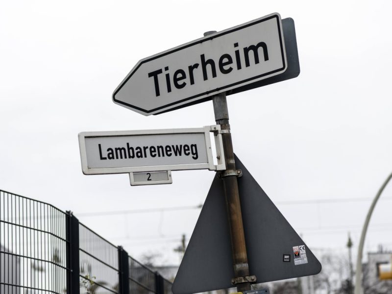 Tierheim in NRW findet Paket mit toter Katze.