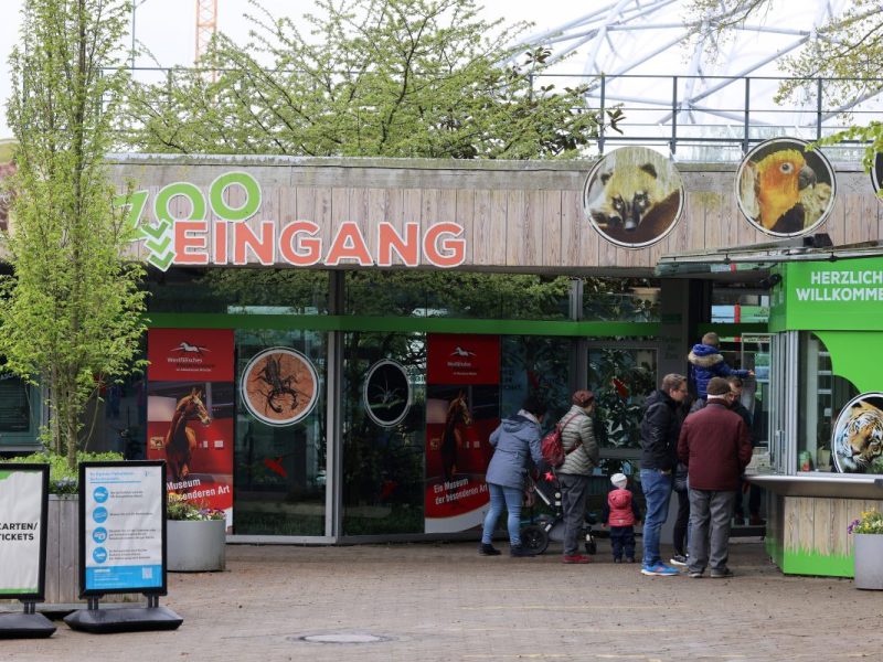 Zoo in NRW: In Münster kam es zu einem Schauspiel.