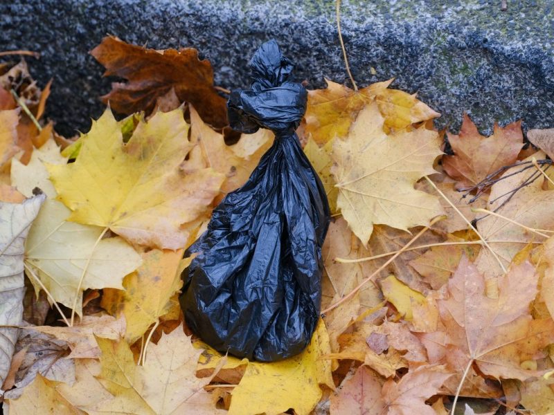 Essener klagt über verdreckte Straße mit Hundekotbeuteln.