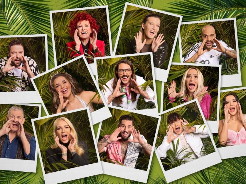 Ein „Dschungelcamp“-Kandidat hat sich verlobt.