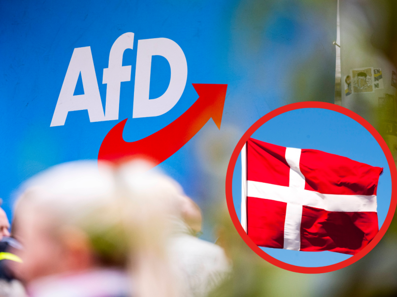 Kann das Asyl-Modell aus Dänemark die AfD stoppen?