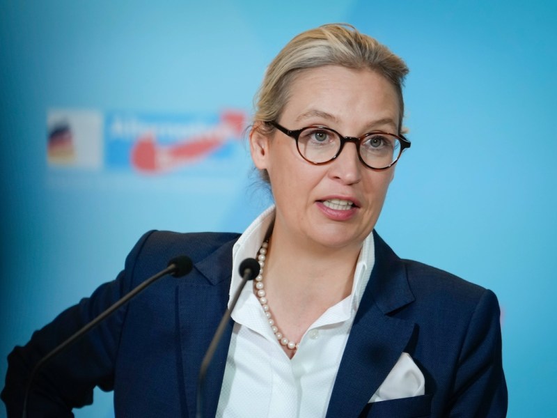 Alles zur Politikerin Alice Weidel privat findest du hier.