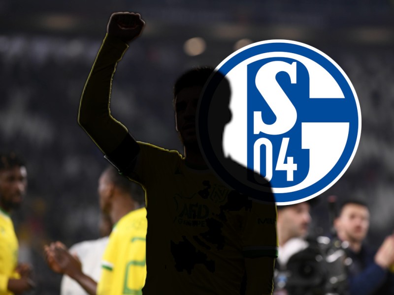 FC SChalke 04 Centonze