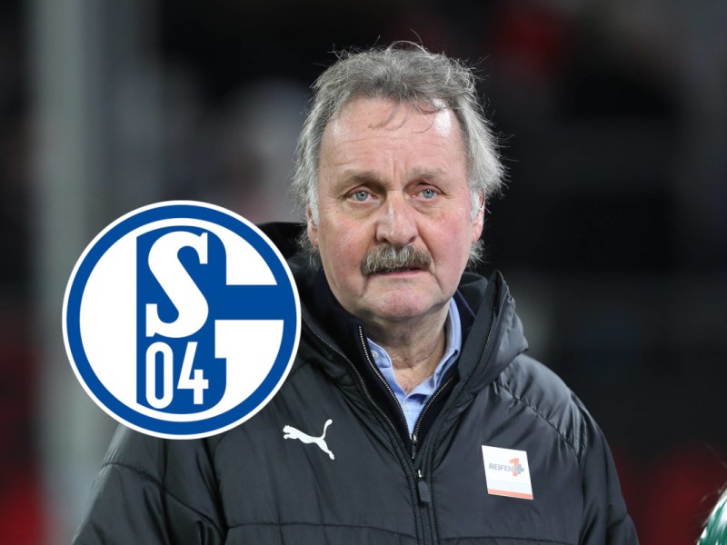 FC Schalke 04 Neururer