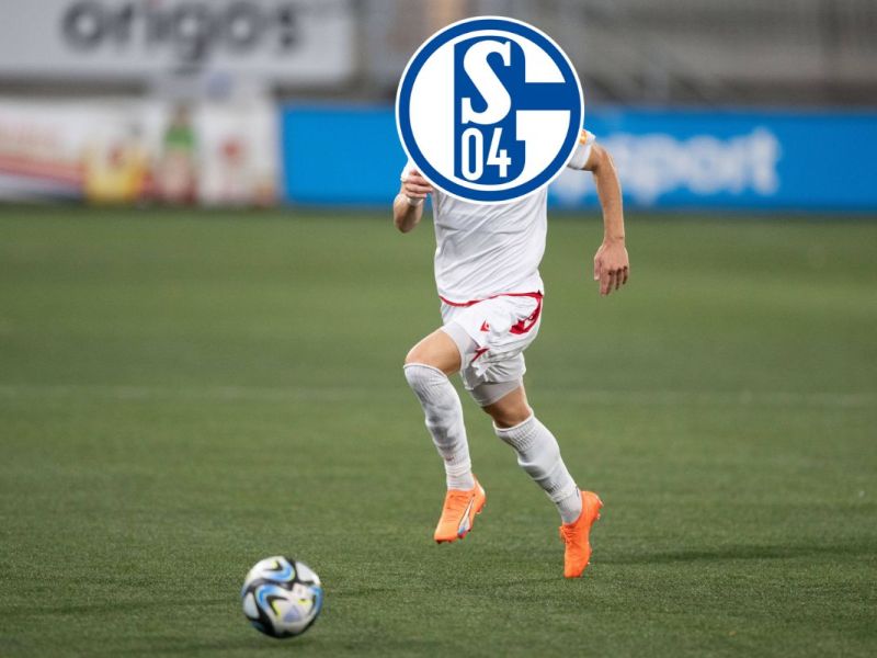 fc schalke 04 s04