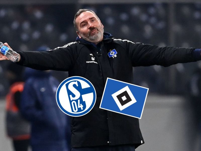 FC Schalke 04 S04 Hamburger SV HSV