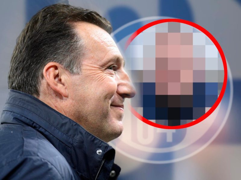 Beim FC Schalke 04 ist Marc Wilmots der neue starke Mann.