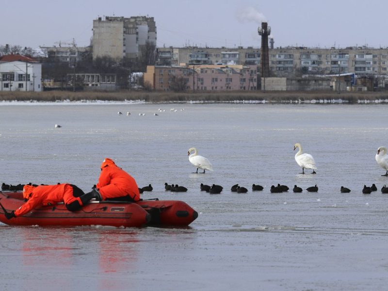 Essen: Mann rettet Schwan in Passau aus dem Hochwasser