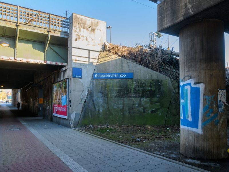 An einer Haltestelle in Gelsenkirchen machte eine Frau einen traurigen Fund.