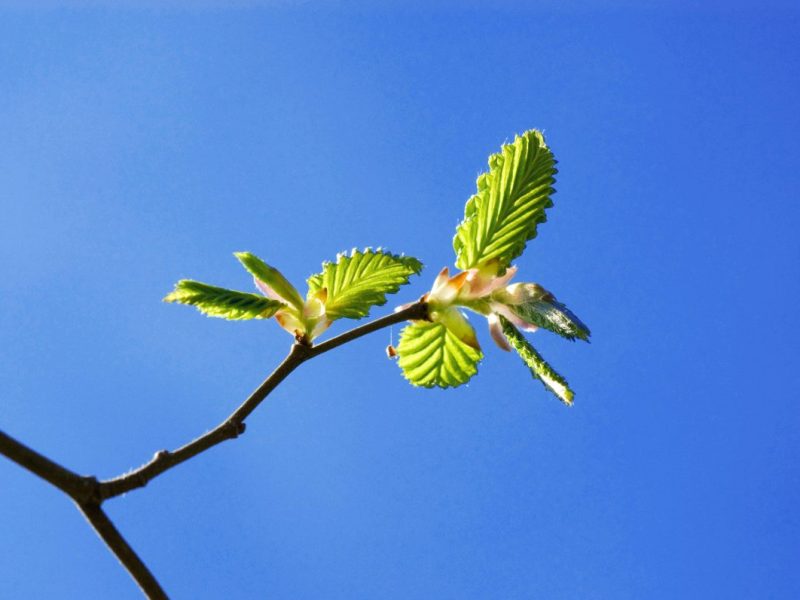 Wetter in NRW: Wintereinbruch nicht abschreiben