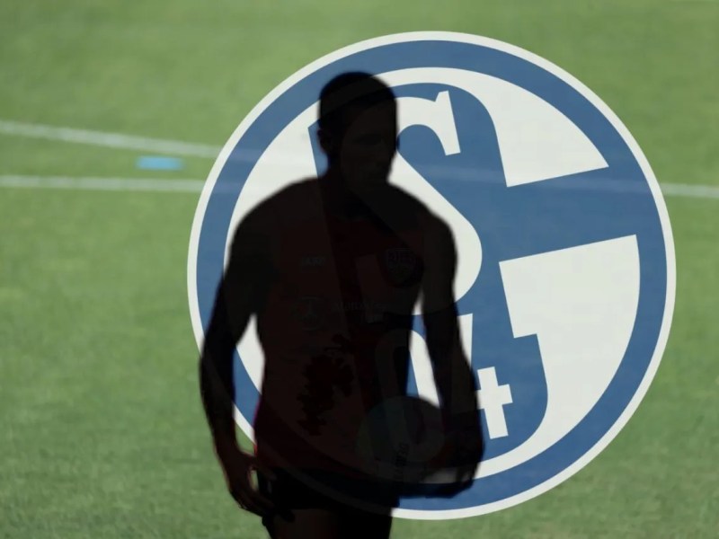 fc schalke 04 s04 churlinov