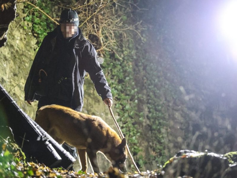 In NRW hat ein Spaziergänger Knochen in einem Wald gefunden.