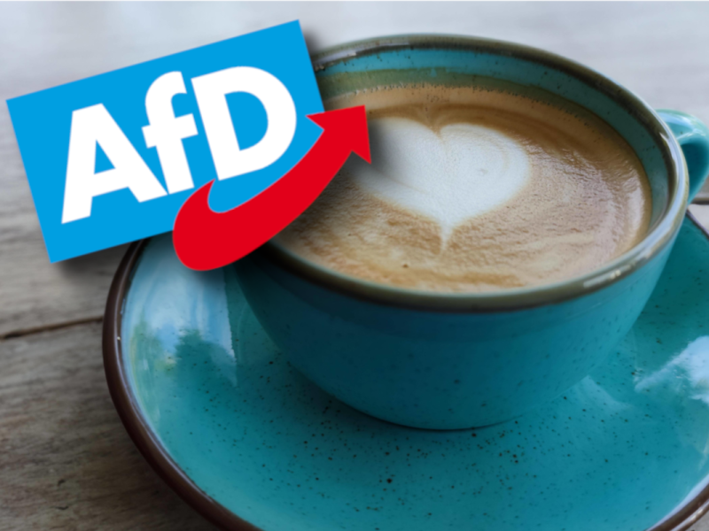 Anti-AfD-Aktion in Tübingen.