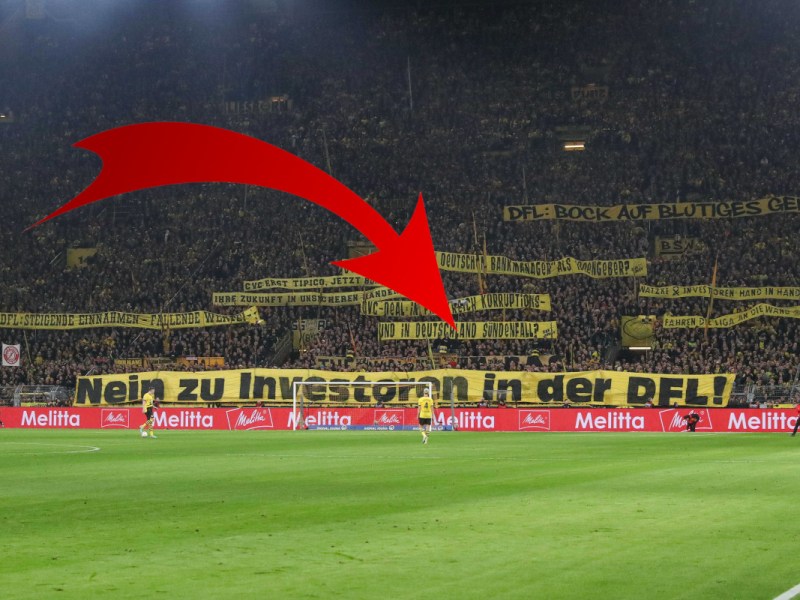 BVB Schalke Investoren